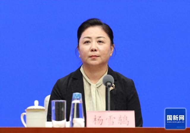 围绕安全性, 外运动设施, 杨雪鸫表示